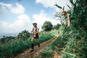 BIB: 
                            <button type="button" onclick="openModal(26050594)" class="btn btn-primary btn-sm float-right btn-popup" data-toggle="modal" data-target=".modal-high-quality">
                        <i class="fas fa-shopping-cart"></i> Add to Cart
                    </button>
                                            <button type="button" onclick="isThisMe(26050594, true)" class="btn btn-success btn-sm float-right btn-popup btn-isme hidden" data-toggle="tooltip" data-placement="bottom" title="นี่คือรูปของคุณใช่ไหม คลิกที่นี่เพื่อเอาเข้าอัลบั้ม">
                        <i class="fas fa-plus"></i> Add to album
                    </button>
                    <button type="button" onclick="isThisMe(26050594, false)" class="btn btn-warning btn-sm float-right btn-popup btn-isnotme hidden">
                        <i class="fas fa-ban"></i> Remove from album
                    </button>